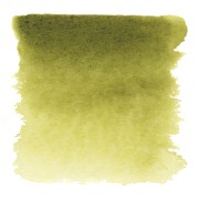 Aquarelle Olive Green