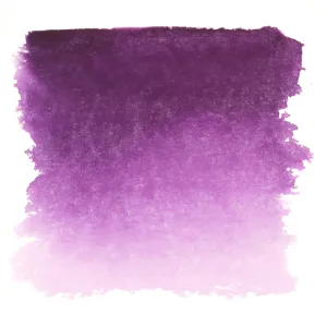 Aquarelle Violet Rose