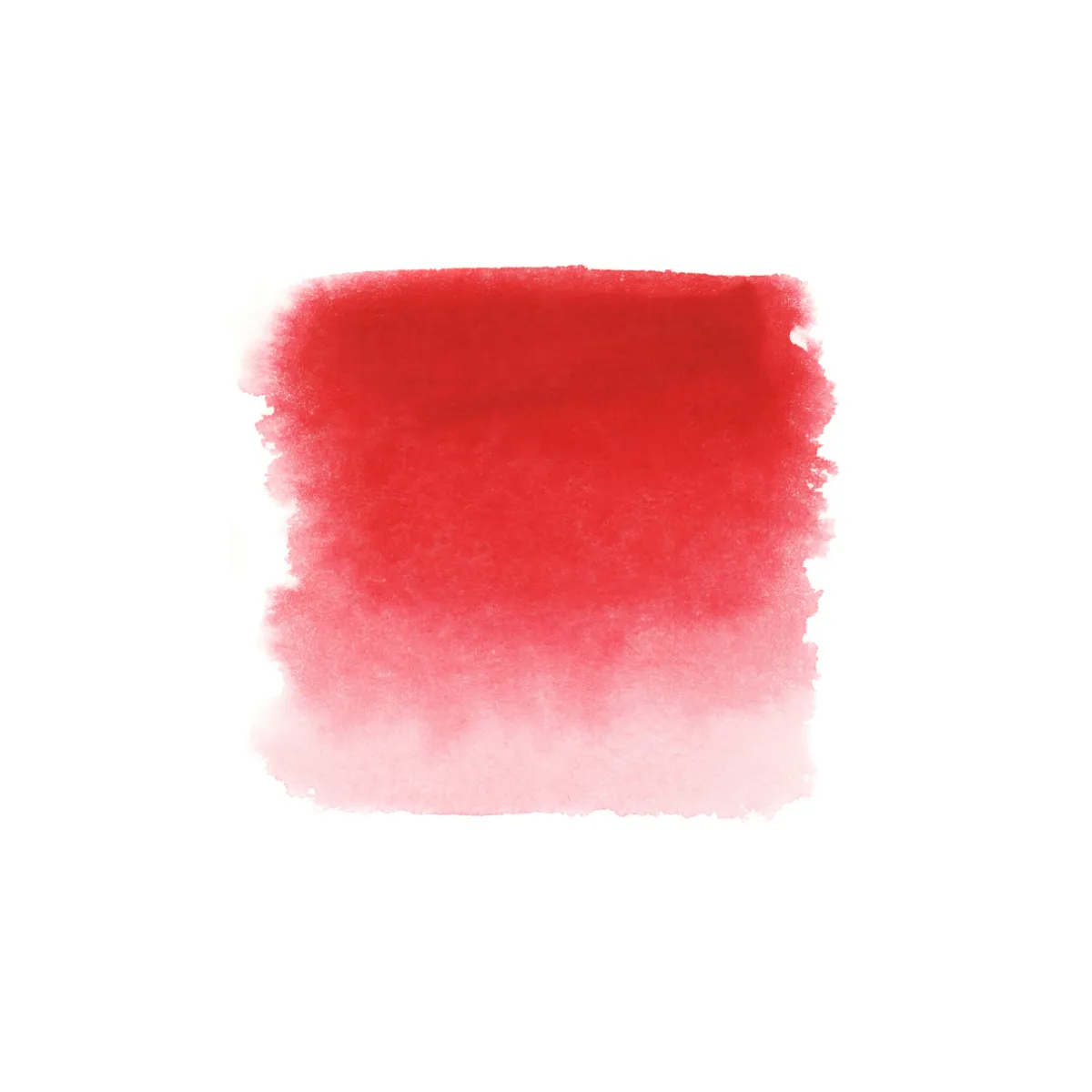 Aquarelle Ruby