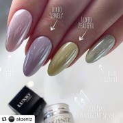 Pearlescent Powder Silver AKZENTZ Pearlescent Powder Silver AKZENTZ