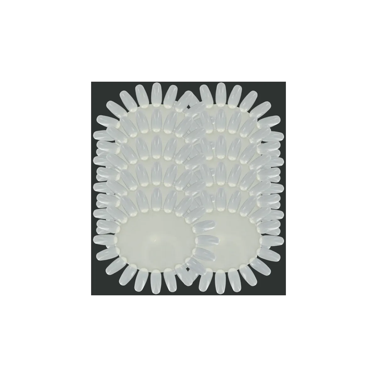 Presentoir Ovale Natural Par 10