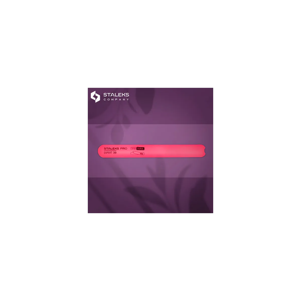 Base en Plastique Lime à Ongles Straight - Expert Line 20 Staleks