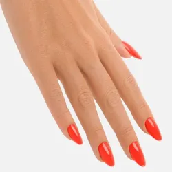 Pure Creamy 20 Coral Parrot