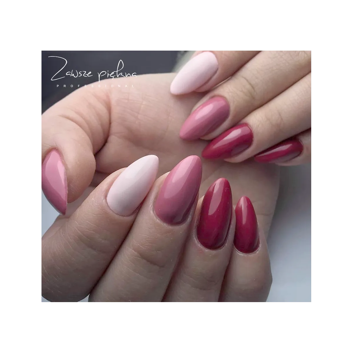 Pure Creamy 158 Important Meeting