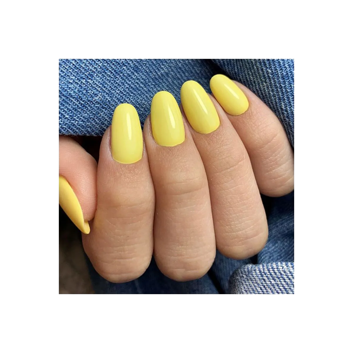 Pure Creamy 172 Yellow Delight