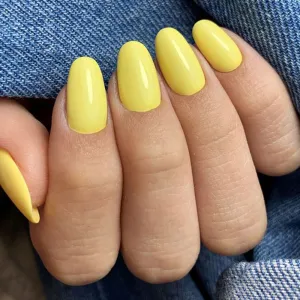 Pure Creamy 172 Yellow Delight Pure Creamy 172 Yellow Delight