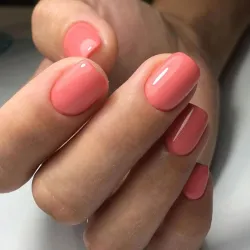 Luxio Precocious 15ml