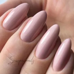 Luxio Curiosity 15ml