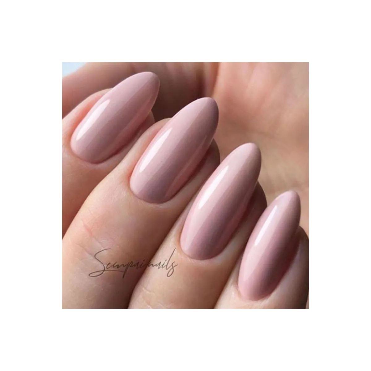 Luxio Curiosity 15ml