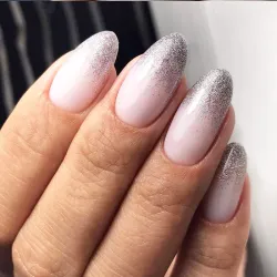 Gel Polish 55 Silver Cristal