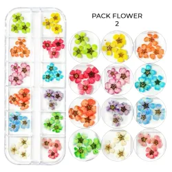 Pack Flowers n°2