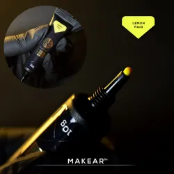 ProArt Lemon PA13 10g Makear