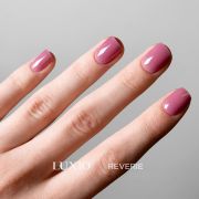 Luxio Reverie 15ml Luxio Reverie 15ml