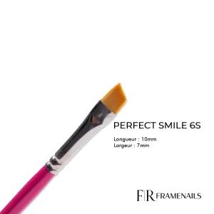 Pinceau Gel Perfect Smile 6S Pinceau Gel Perfect Smile 6S