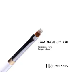 Pinceau Gradiant Color