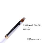 Pinceau Gradiant Color