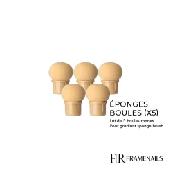 Eponge Boule pour Gradiant Sponge Brush (x5)