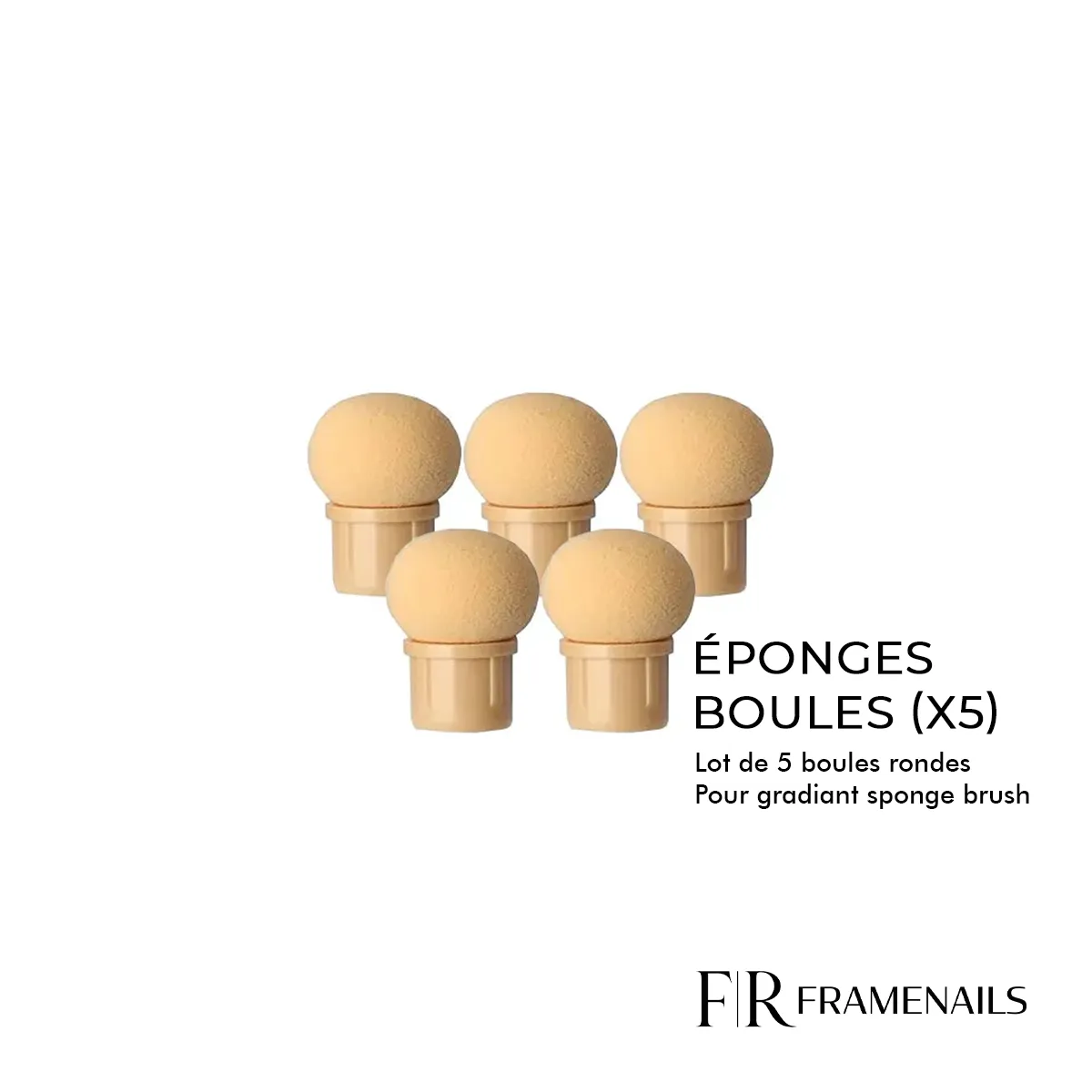 Eponge Boule pour Gradiant Sponge Brush (x5)