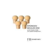 Eponge Boule pour Gradiant Sponge Brush (x5)