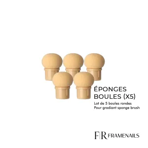 Eponge Boule pour Gradiant Sponge Brush (x5)