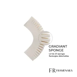 Gradiant Sponge Rectangulaire Détachable (25pcs)