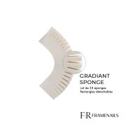 Gradiant Sponge Rectangulaire Détachable (25pcs)