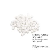 Mini Sponge Square 50pcs
