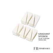 Gradiant Sponge (10pcs)